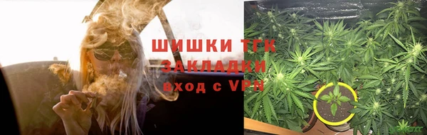 ГАЛЛЮЦИНОГЕННЫЕ ГРИБЫ Абдулино