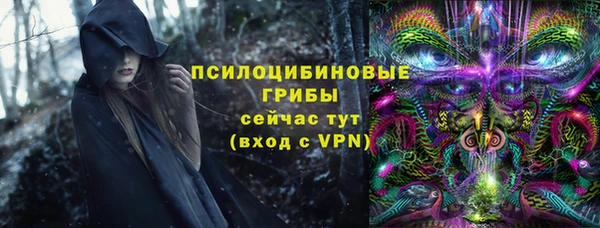 ГАЛЛЮЦИНОГЕННЫЕ ГРИБЫ Абдулино