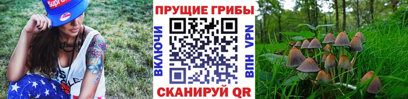 Псилоцибиновые грибы MAGIC MUSHROOMS  Тында 