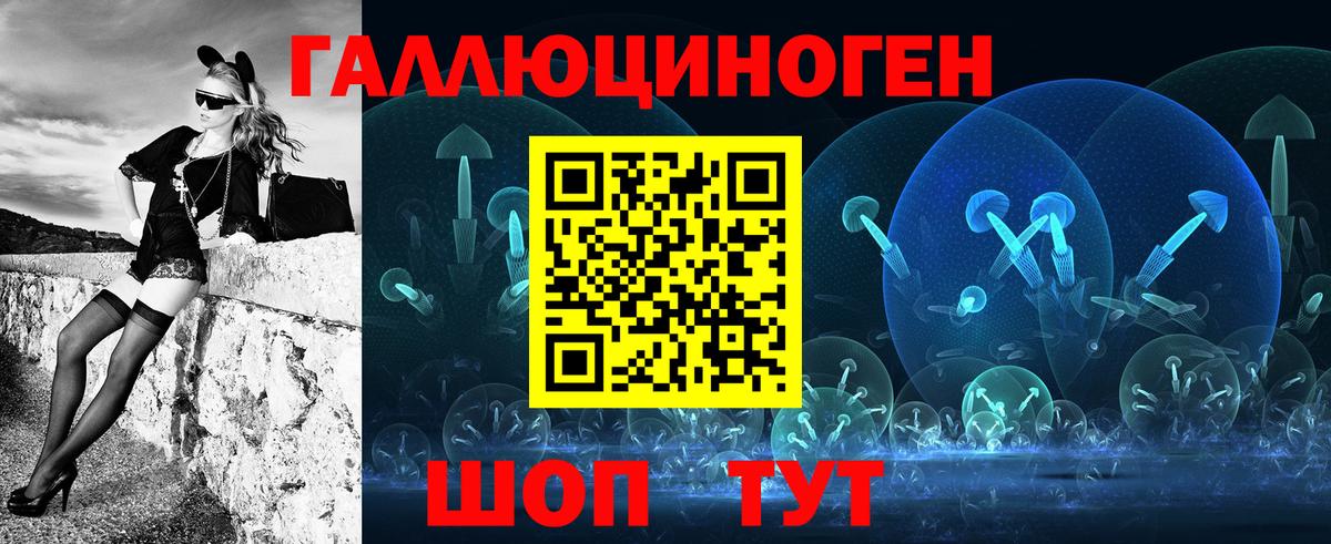 Псилоцибиновые грибы Psilocybe  Вход с VPN  Тында 